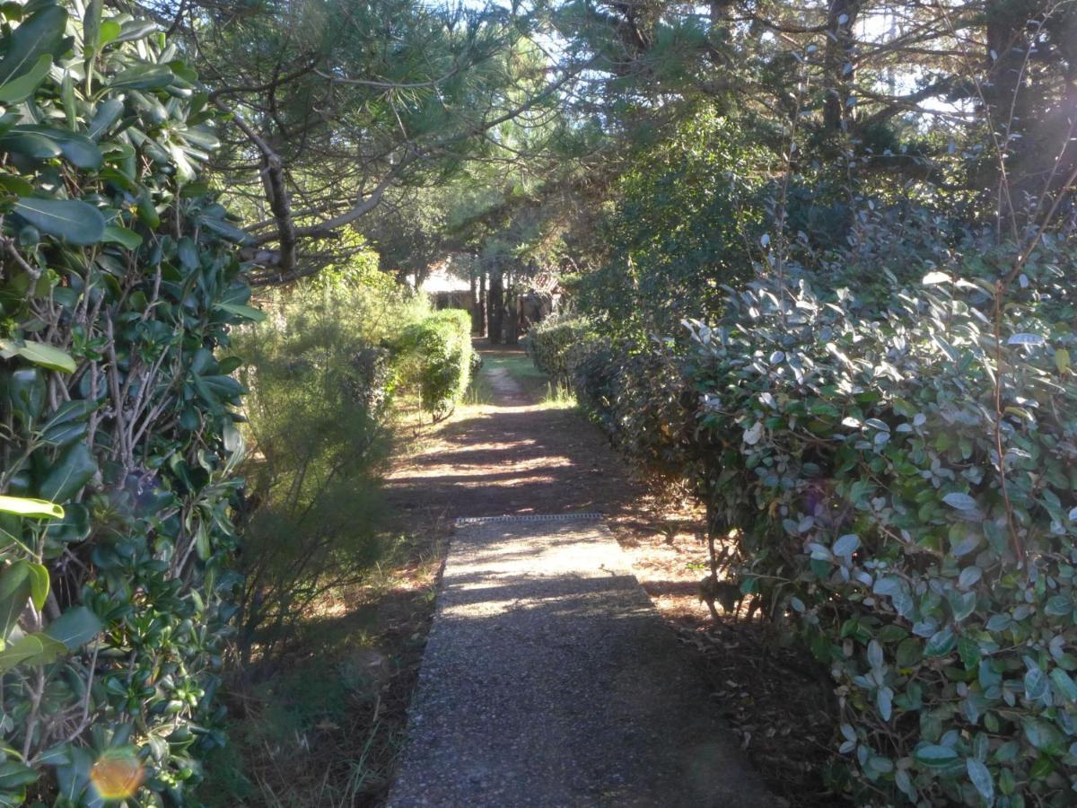 Holiday Home Juncades By Interhome セノッス - ル・ペノン エクステリア 写真